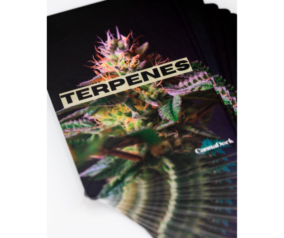 CannaDeck Flash Cards