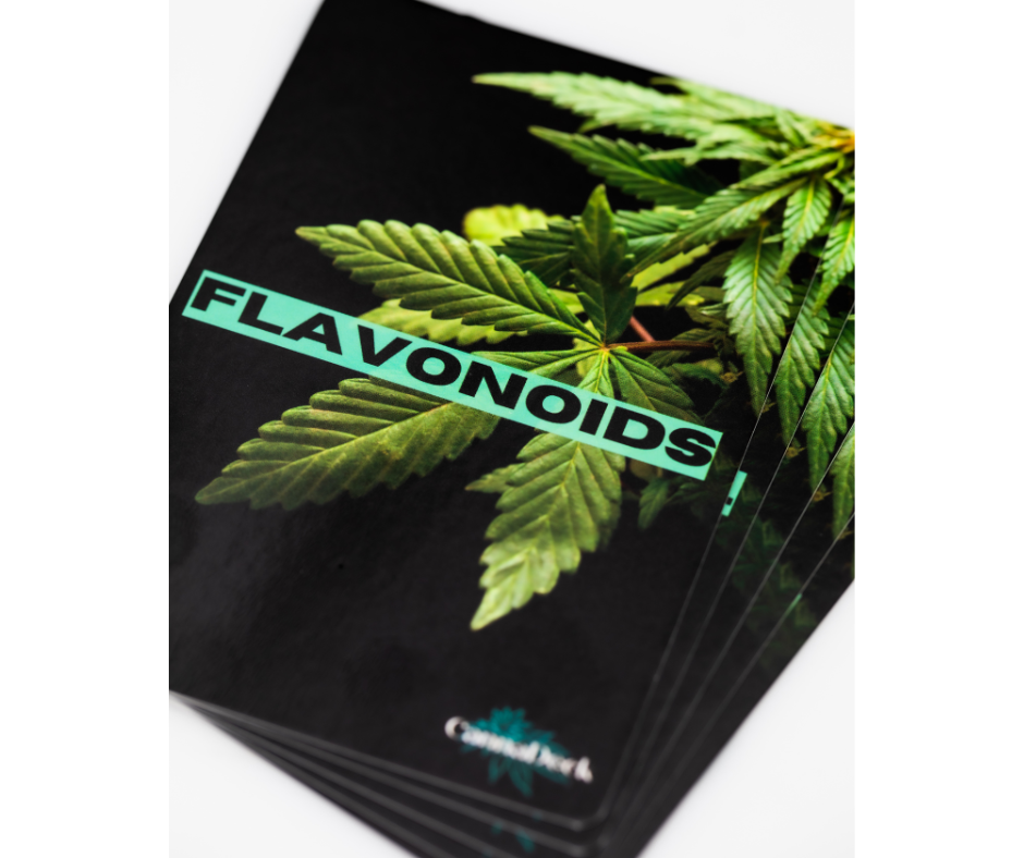 CannaDeck Flash Cards