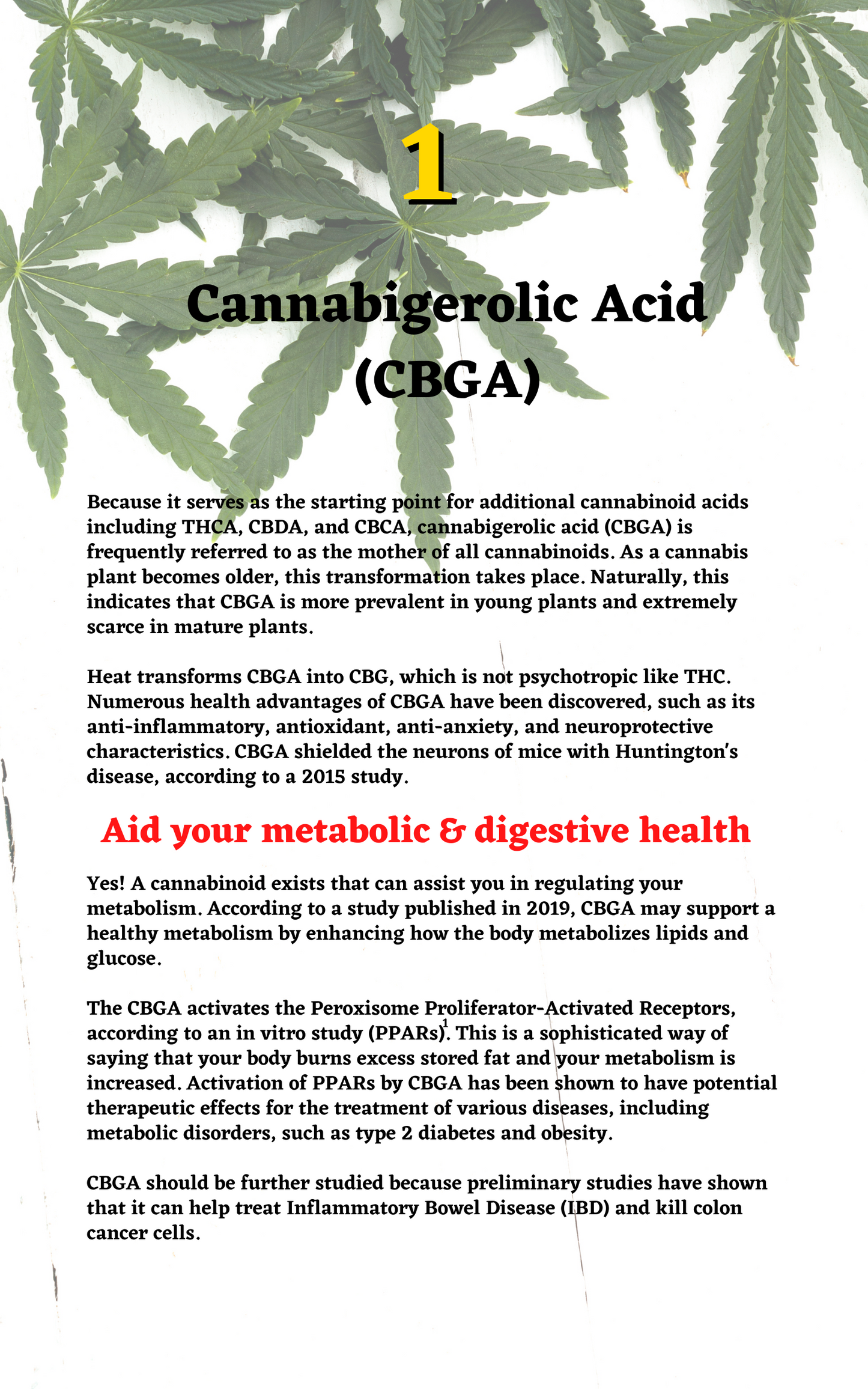 30 Cannabis Compounds That May Aid Your Health