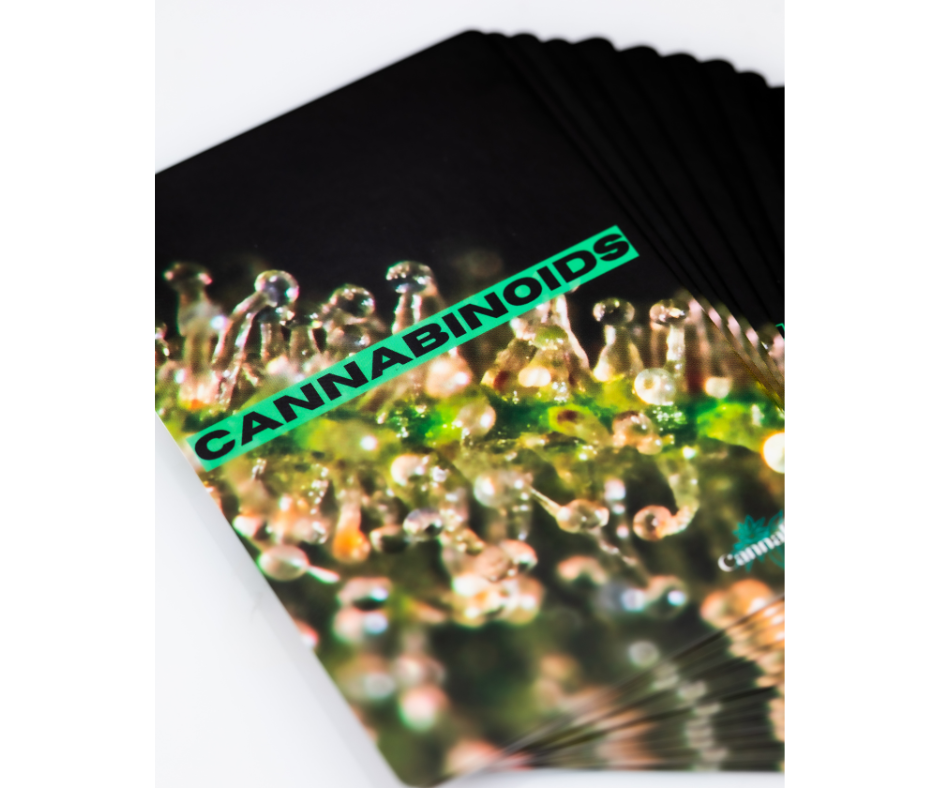 CannaDeck Flash Cards