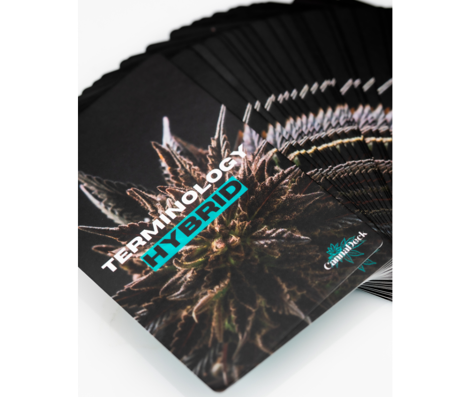 CannaDeck Flash Cards