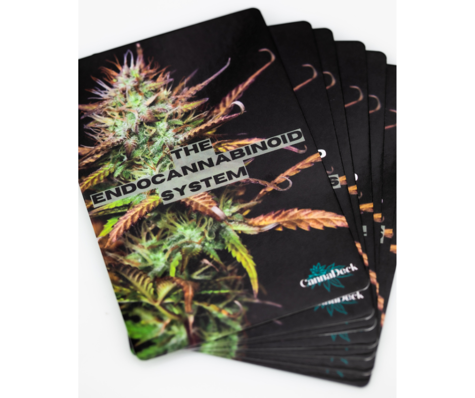 CannaDeck Flash Cards
