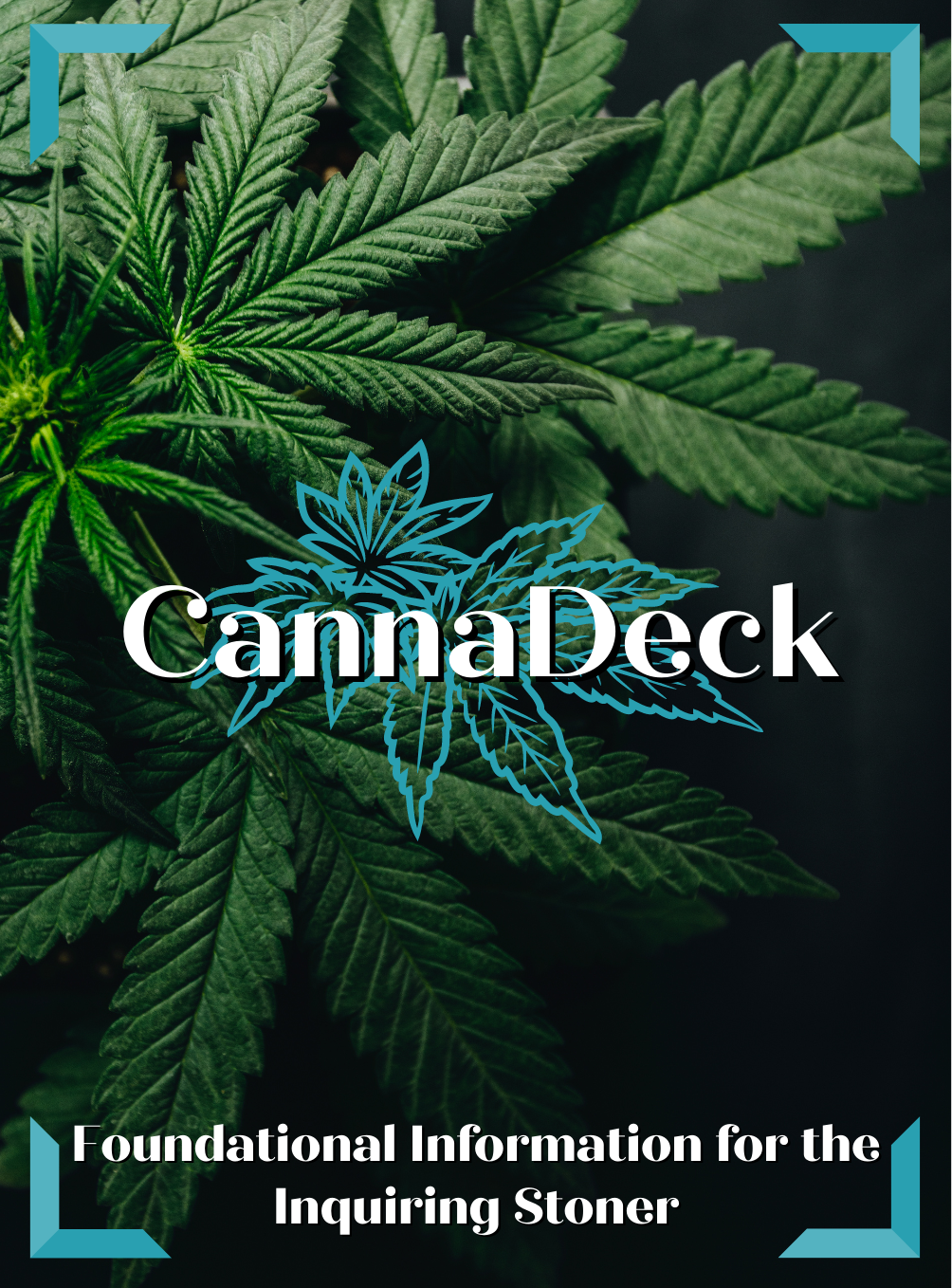 CannaDeck Flash Cards