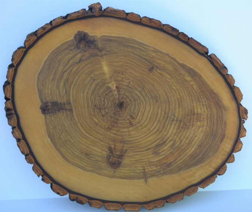 Rustic Slab Charcuterie board, Cake Stand, Cutting Board, Food Serving, or Center Piece, With Legs, With Bark